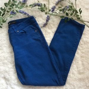 Jordache Blue Skinny Jeans 👖 ~ Size 12 ~